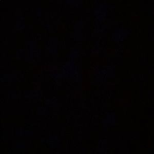 Meet your Posher, Sophia